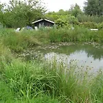 Hummel Aurich